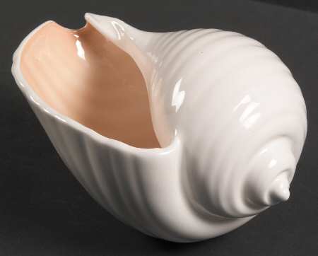 Nautilus Coral Shell Shaped Bowl