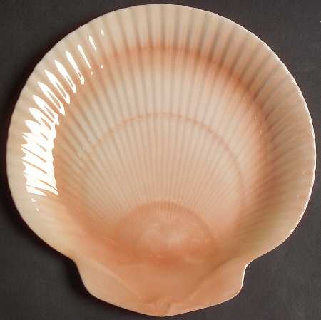 Nautilus Coral Salad Plate