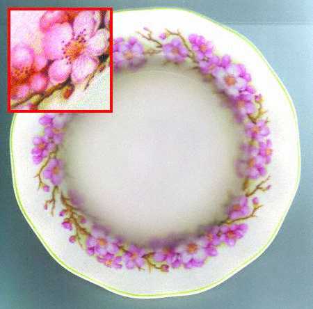 Blossom Time by Wedgwood