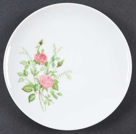 WIG491 Salad Plate