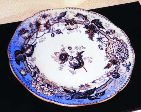 Horticulture by Wedgwood