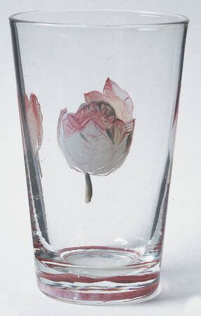 Garden Lane Glassware Tall Tumbler