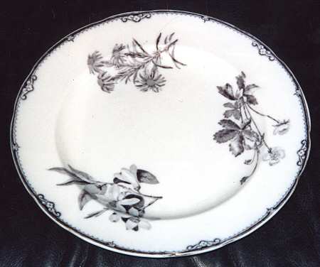 WW212 by Wedgwood
