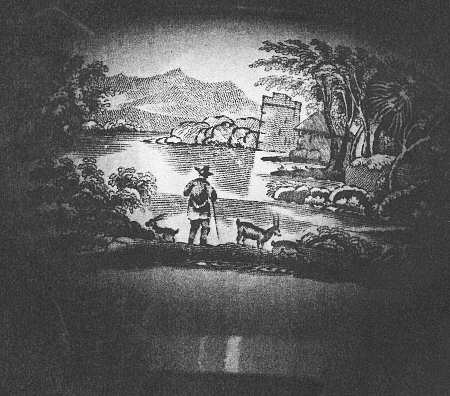 AM6623 by Wedgwood