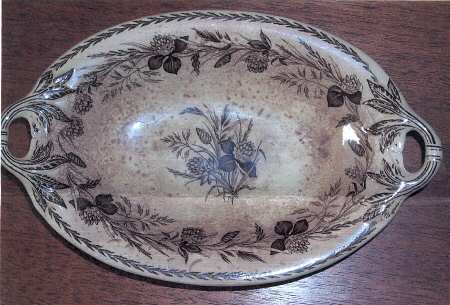Clover (Brown) by Wedgwood
