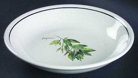 WSO24 9" Individual Pasta Bowl