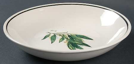 WSO24 9" Individual Pasta Bowl