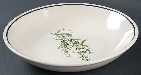 WSO24 9" Individual Pasta Bowl