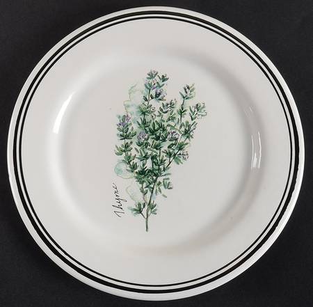 WSO24 Salad/Dessert Plate by Williams-Sonoma