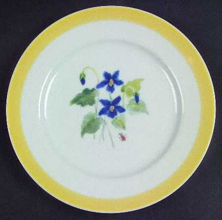 Summer Studies Salad Plate by Williams-Sonoma