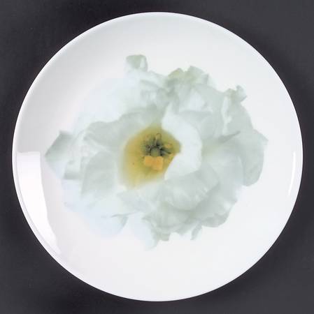 Bloomers Salad Plate by Wedgwood