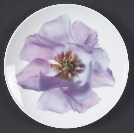 Bloomers Salad Plate by Wedgwood