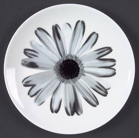 Bloomers Night and Day Salad Plate by Wedgwood