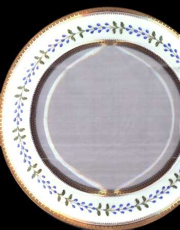 X7175 by Wedgwood