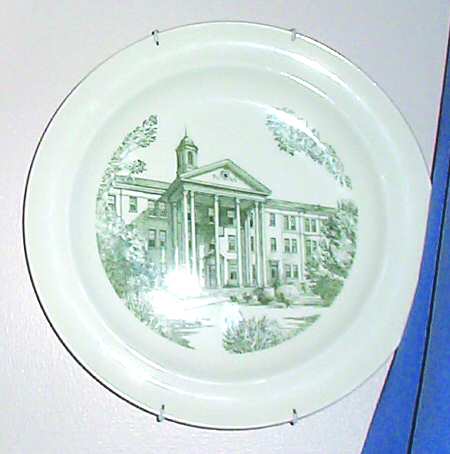 University of South Carolina Green by Wedgwood