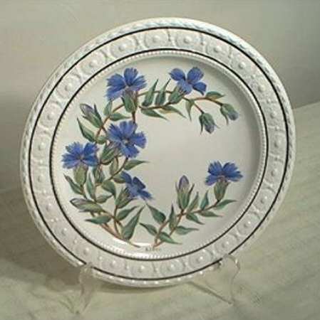 CM5524 by Wedgwood