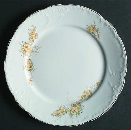 WW263 by Wedgwood