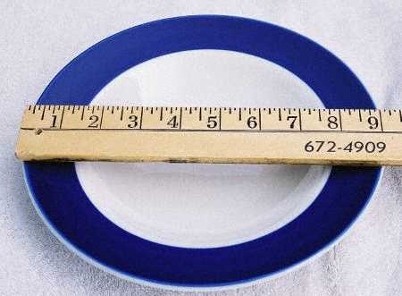 Newport Dinner Plate
