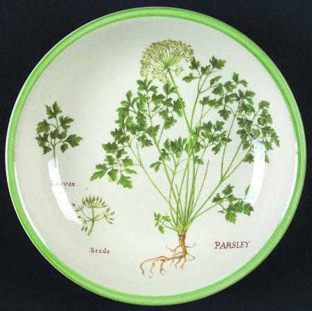 Culinary Herbs 9" Individual Pasta Bowl