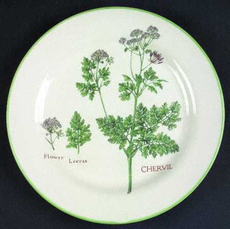 Culinary Herbs Luncheon Plate