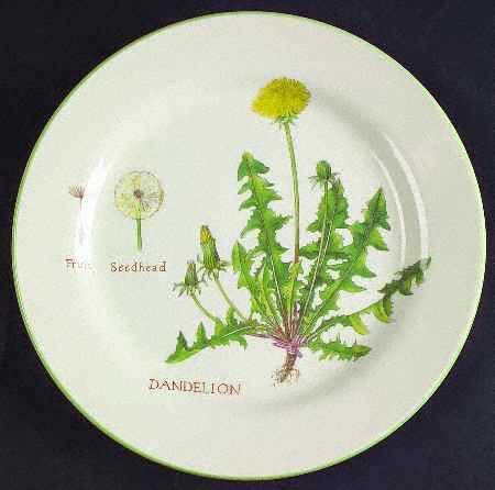 Culinary Herbs Luncheon Plate