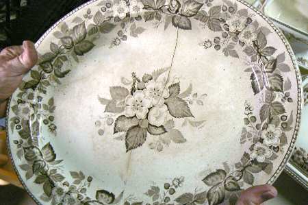 Bramble Brown (Center Design) by Wedgwood