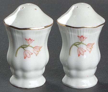 Trellis Salt & Pepper Set