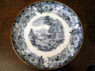 WW288 by Wedgwood