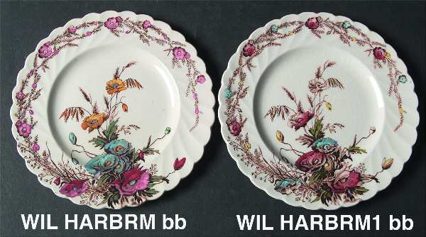 Harvest Brown Multicolor (Floral Rim and Ctr) Bread & Butter Plate