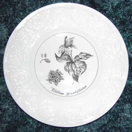 New York Botanical Garden Floral by Wedgwood