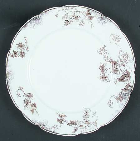 Carnot by Wedgwood