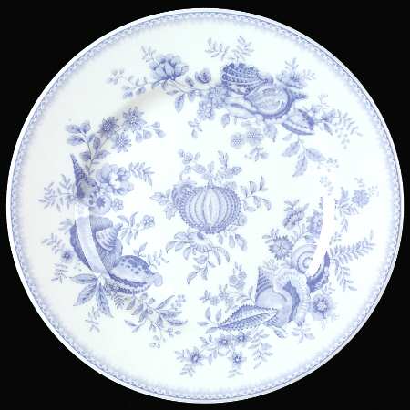 Seashell Collection Salad Plate