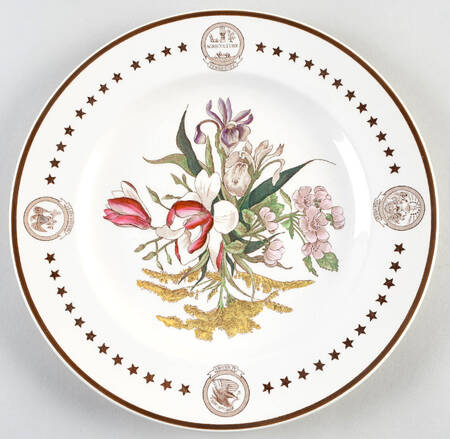 American State Flower Plates, The Dinner Plate