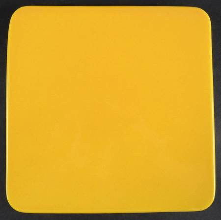 Fun Factory Lemon Peel Square Dinner Plate