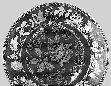 W1630 by Wedgwood