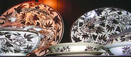 Peoney (Brown) by Wedgwood