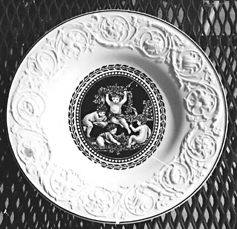 CL5276 by Wedgwood