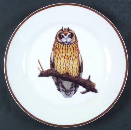 WFE2 by National Wildlife Federation