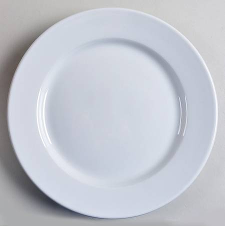 Everyday White Large Dinner Plate by Williams-Sonoma