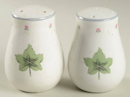 WSZ1 Salt & Pepper Set