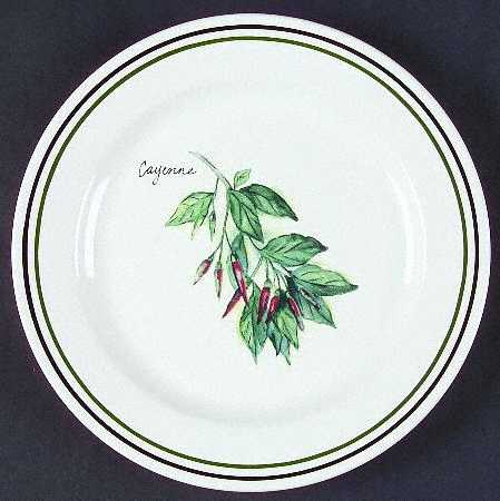 WSO51 Salad Plate by Williams-Sonoma