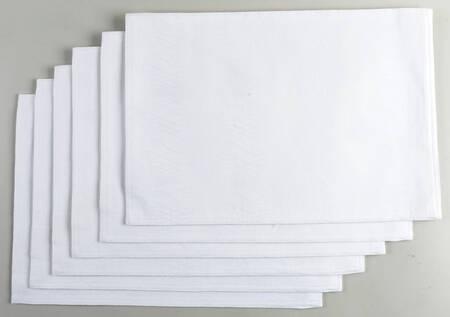 Ballet Ribbon (Platinum) Cloth Placemat - Set of 6