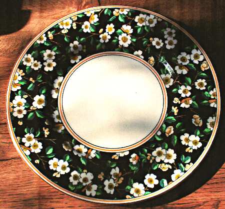 W2282 by Wedgwood