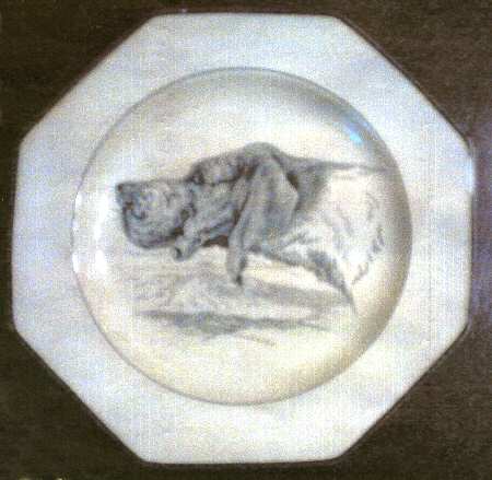 C2002 Luncheon Plate