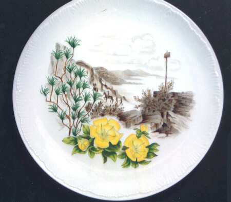 Honolulu Hawaii Dinner Plate