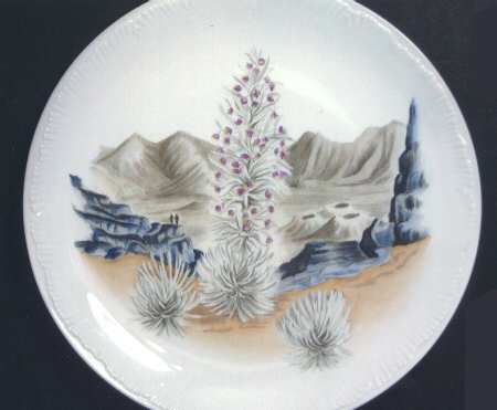 Honolulu Hawaii Dinner Plate