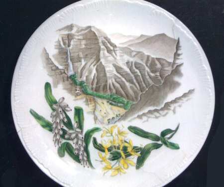 Honolulu Hawaii Dinner Plate