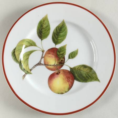 WSO66 Salad Plate