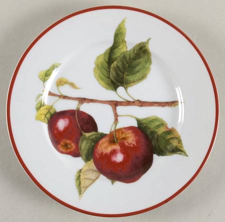 WSO66 Salad Plate