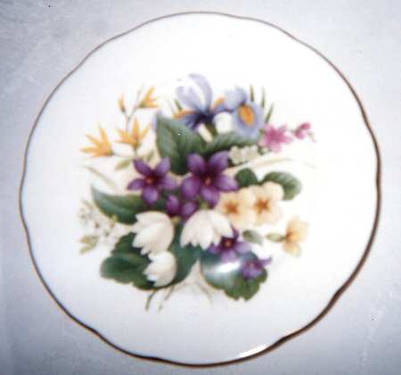 6410 Salad Plate